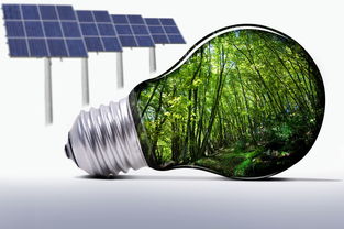 全國首艘電力推進渡船建成交付 可節能達到15 左右